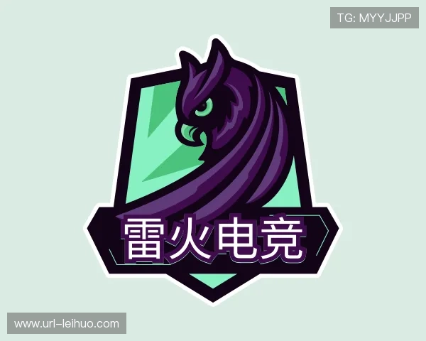 了解雷火电竞团队